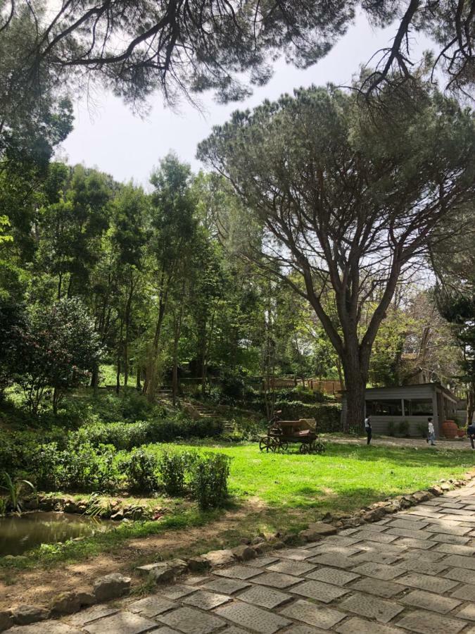 Villa Musolino - Country Resort Messina Exterior photo